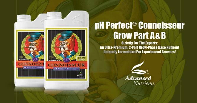 pH Perfect Connoisseur Grow A+B